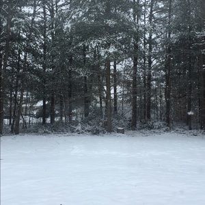 Meet your Posher, Wendy m